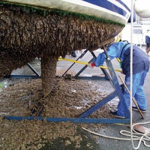 ANTIFOULING