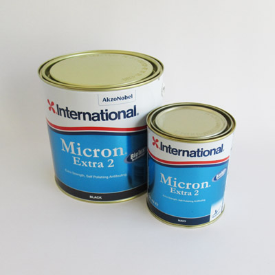 Micron_Extra_2